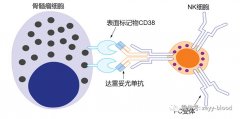 达雷妥尤单抗来了，果真叫兆珂，除了贵，药是好药